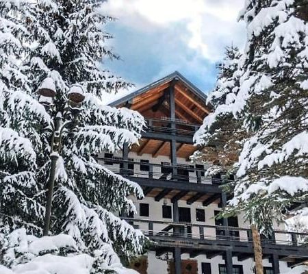 Cabana Serenade Sucevita Exteriör bild